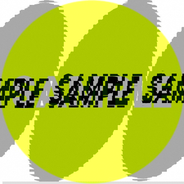 Label Maker Label: Fluorescent Green, Paper, 2