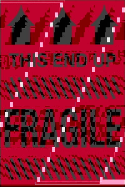 Label Maker Label: Fluorescent Red, Paper, 3