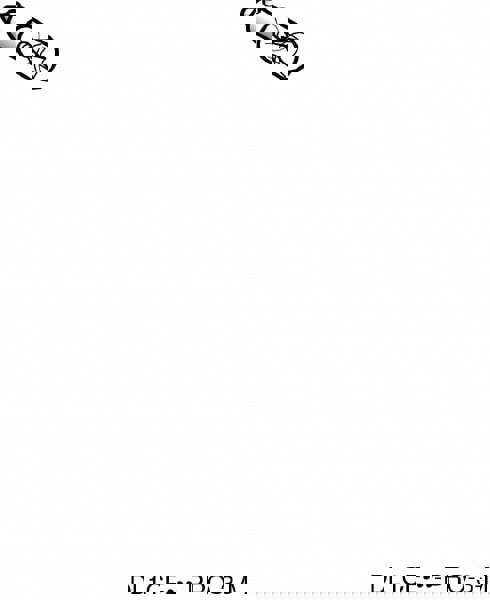 Pushbutton Switch Accys