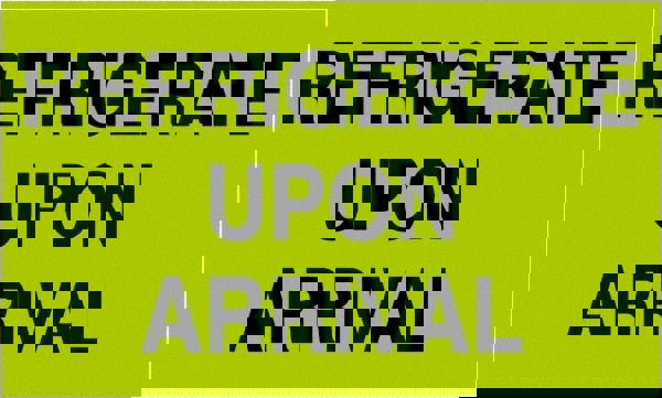 Label Maker Label: Fluorescent Green, Paper, 5