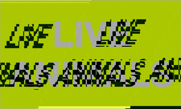 Label Maker Label: Fluorescent Green, Paper, 5