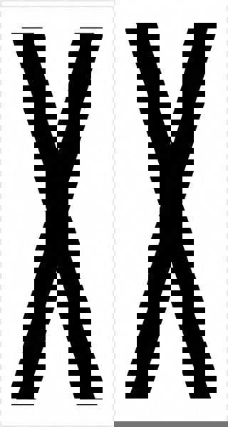 Label Maker Label: Black & White, Vinyl, 3-1/2