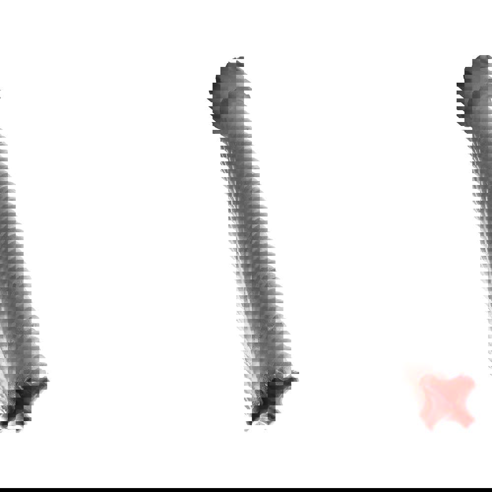 Hammer Drill Bits; Drill Bit Size (Decimal Inch): 0.5625 ; Usable Length (Inch): 8.0000 ; Overall Length (Inch): 13 ; Shank Type: SDS-Max ; Number of Flutes: 4 ; Drill Bit Material: Carbide