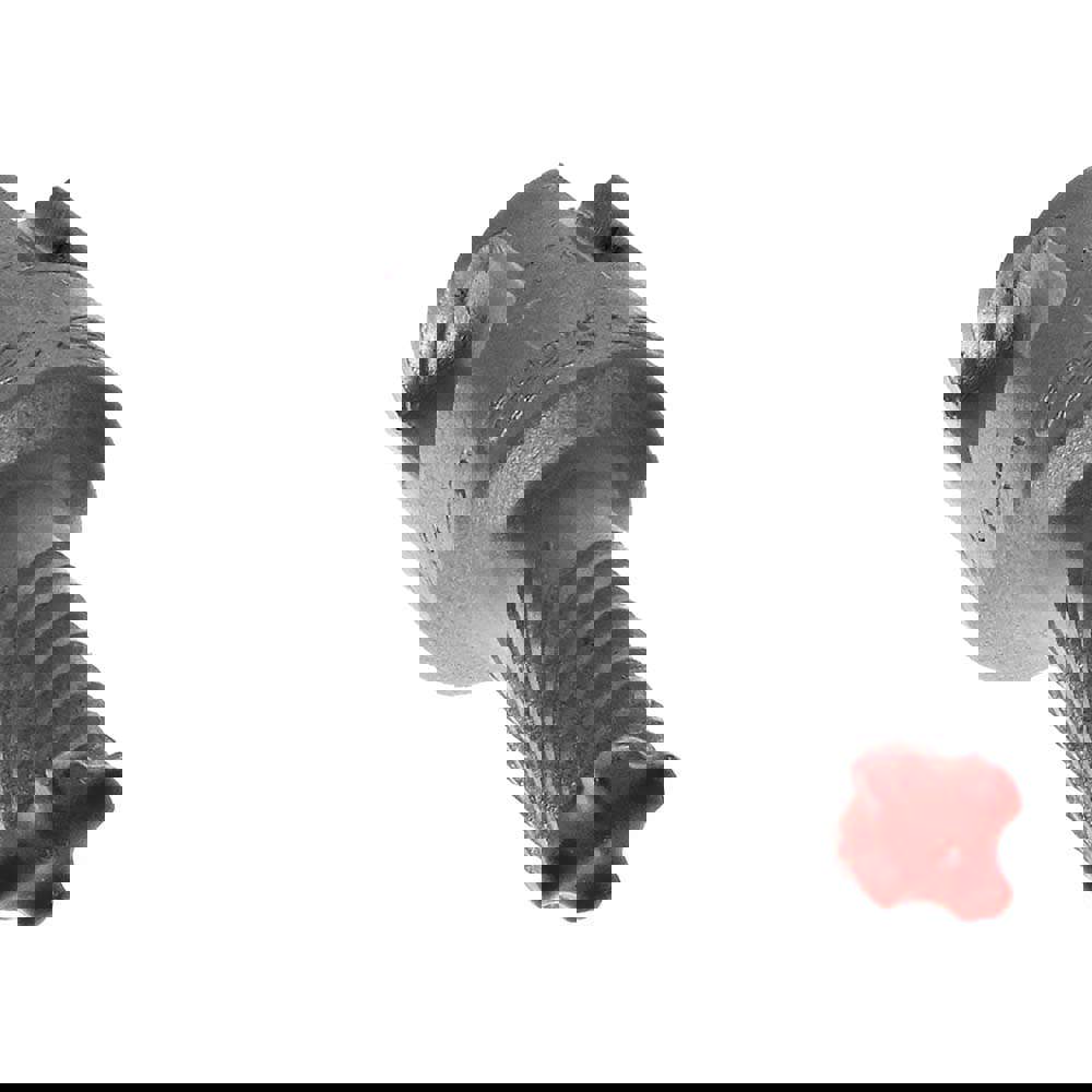 Hammer Drill Bits; Drill Bit Size (Decimal Inch): 0.1875 ; Usable Length (Inch): 4.0000 ; Overall Length (Inch): 6 ; Shank Type: SDS-Plus ; Number of Flutes: 4 ; Drill Bit Material: Carbide
