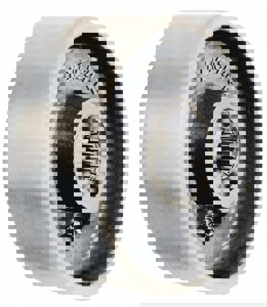 Caster Wheel: Ductile Iron