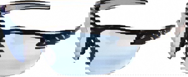 Safety Glasses: Anti-Fog & Scratch-Resistant, Polycarbonate, Blue Lenses, Frameless