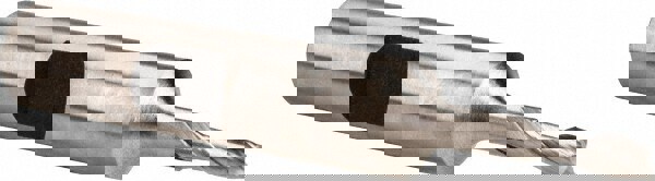 Square End Mill: 1/8'' Dia, 3/8'' LOC, 3/8'' Shank Dia, 2-3/8'' OAL, 2 Flutes, High Speed Steel