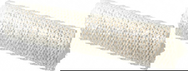 Plumbing Cartridge Filter: 2-1/2