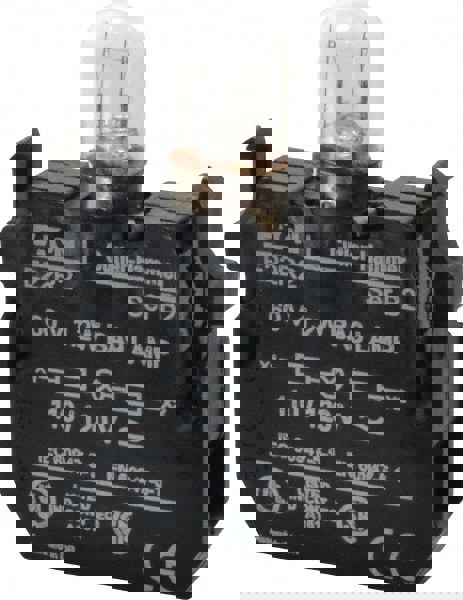 120 VAC/VDC Incandescent Indicating Light