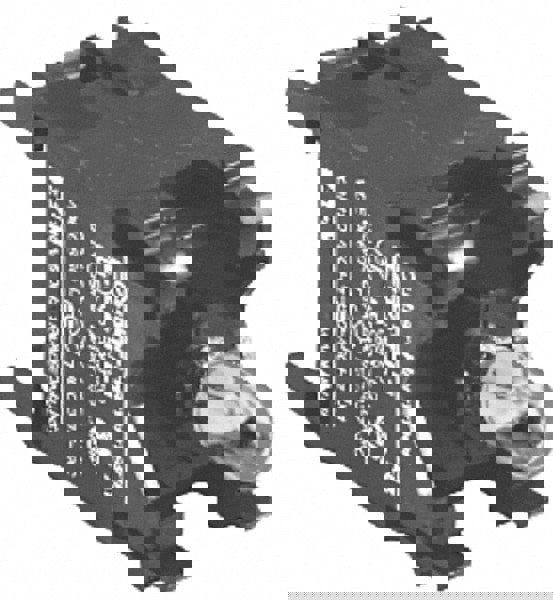 240 VAC Incandescent Indicating Light