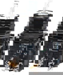 120 VAC/VDC Incandescent Indicating Light