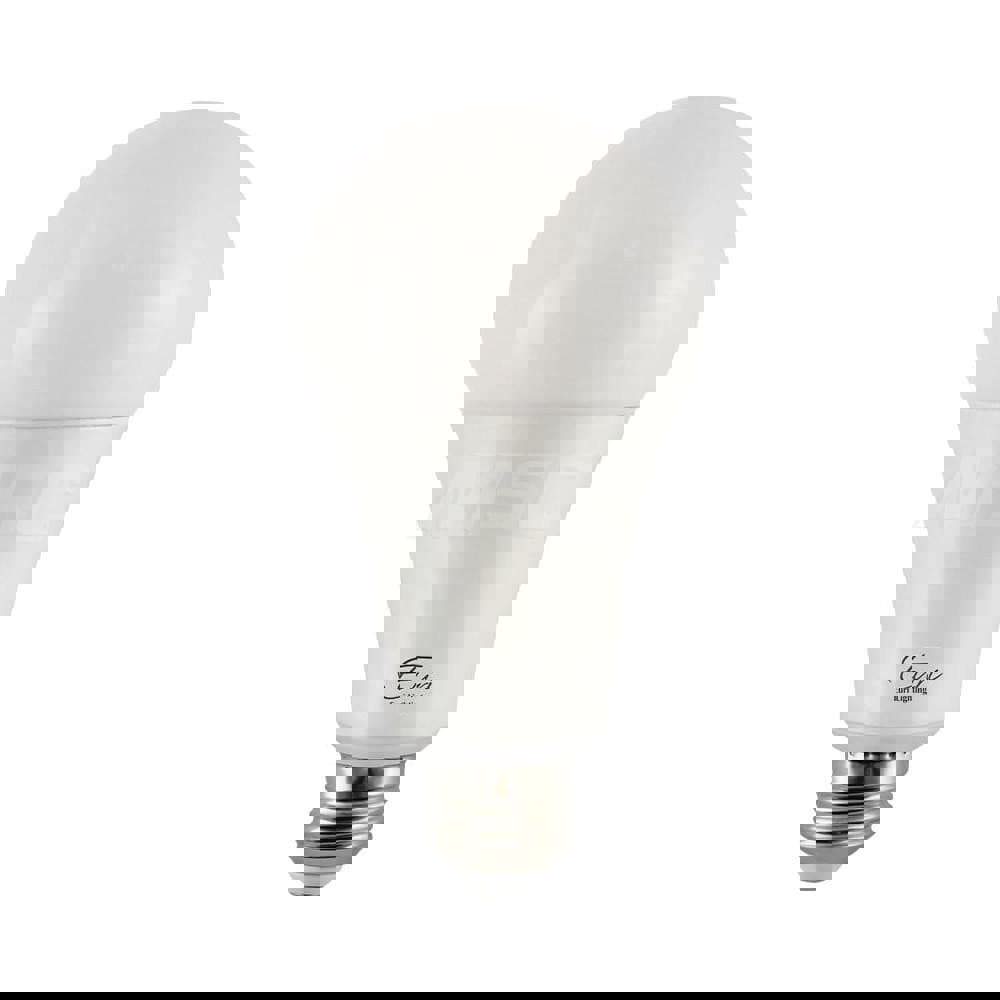 Fluorescent Commercial & Industrial Lamp: 22 Watts, A21, Medium Base