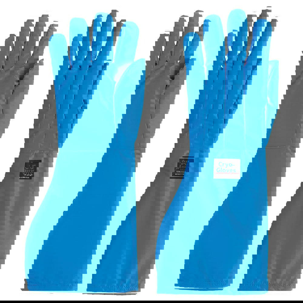 General Purpose Work Gloves: X-Large, Nylon Taslan