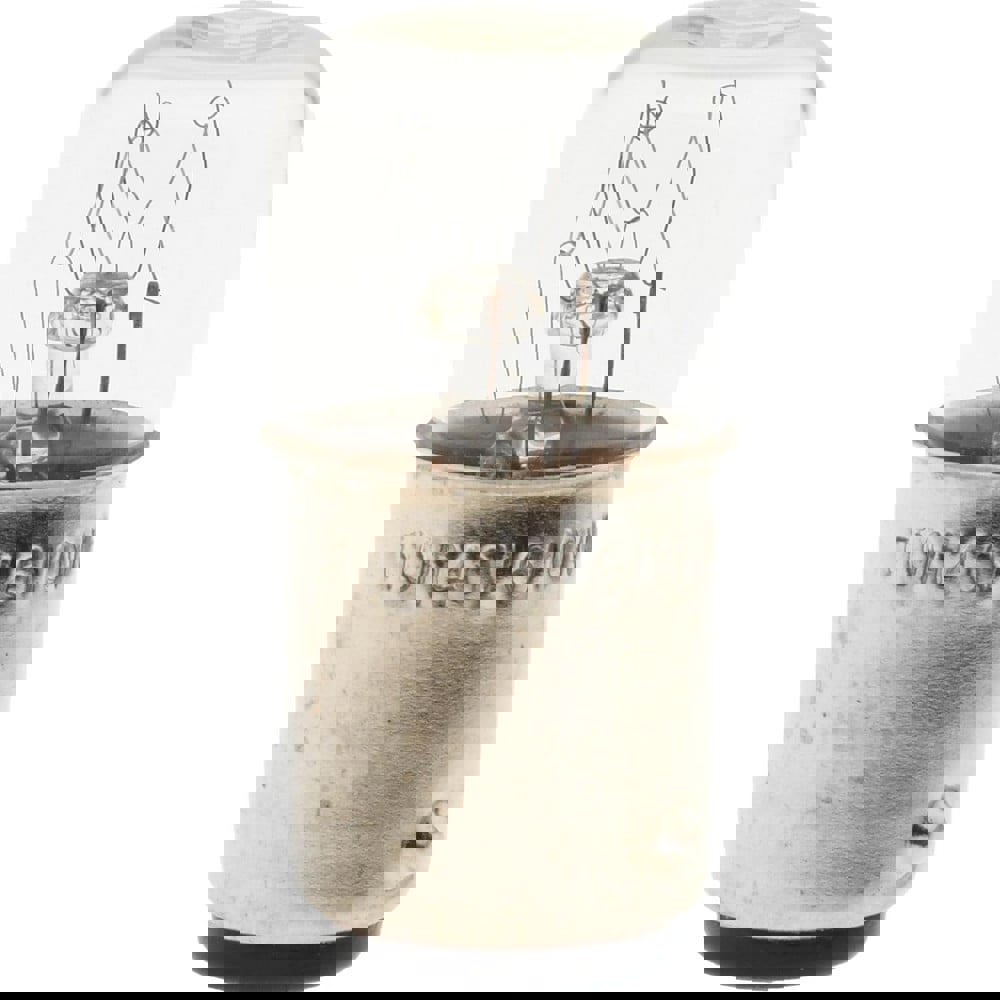 7 Watt, Incandescent Miniature & Specialty T5 Lamp