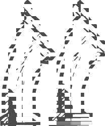 Sanitary Stainless Steel Pipe 45 &deg; Elbow, 3