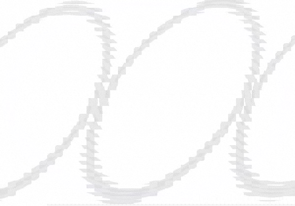 Sanitary Tube Gasket: Polytetrafluroethy