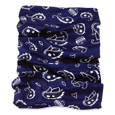 BAND,6485 NAVY WESTERN