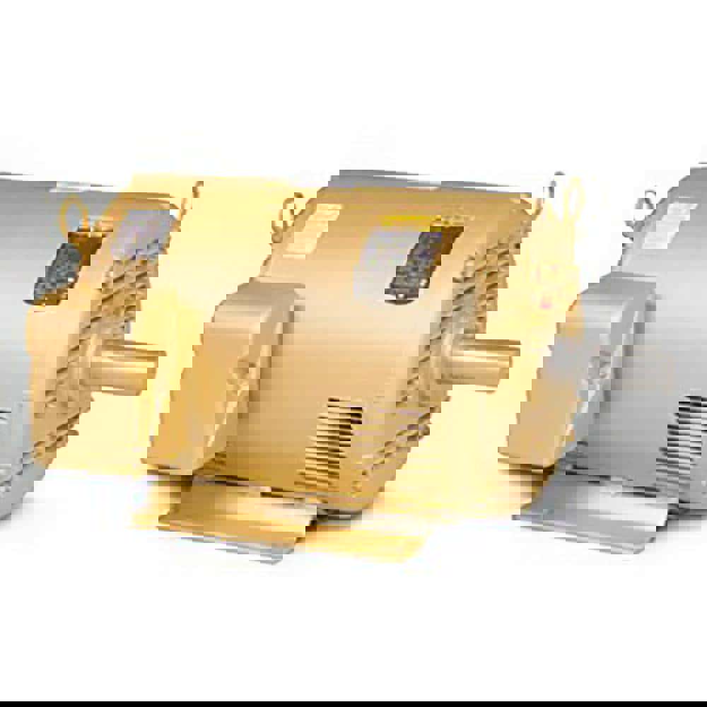 Three Phase AC Motor: ODP Enclosure