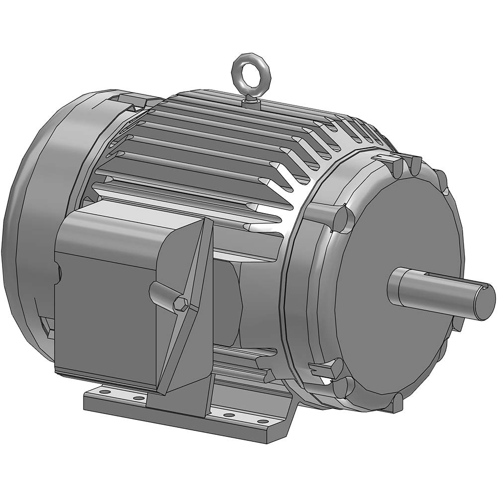 Three Phase AC Motor: TEFC Enclosure