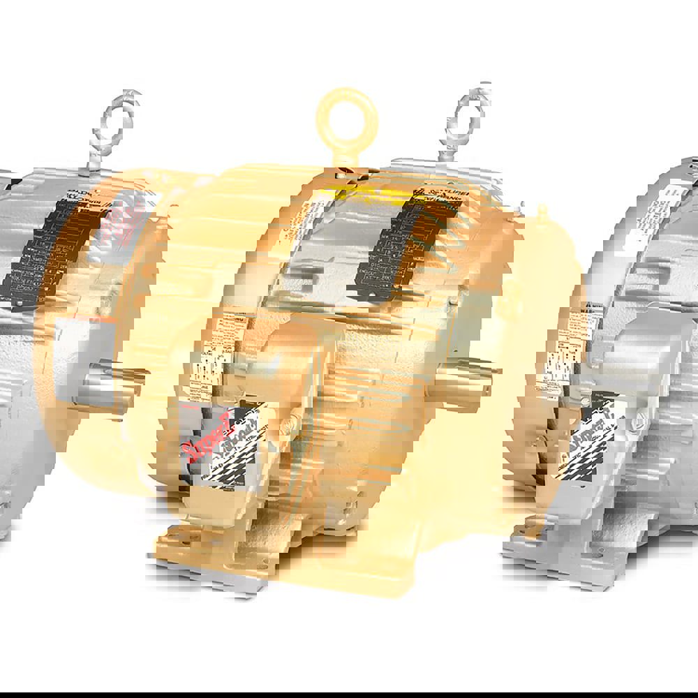 Three Phase AC Motor: