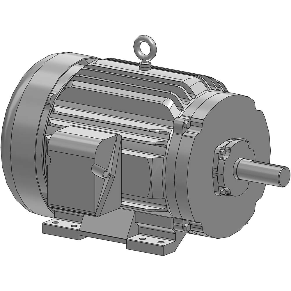 Three Phase AC Motor: TEFC Enclosure