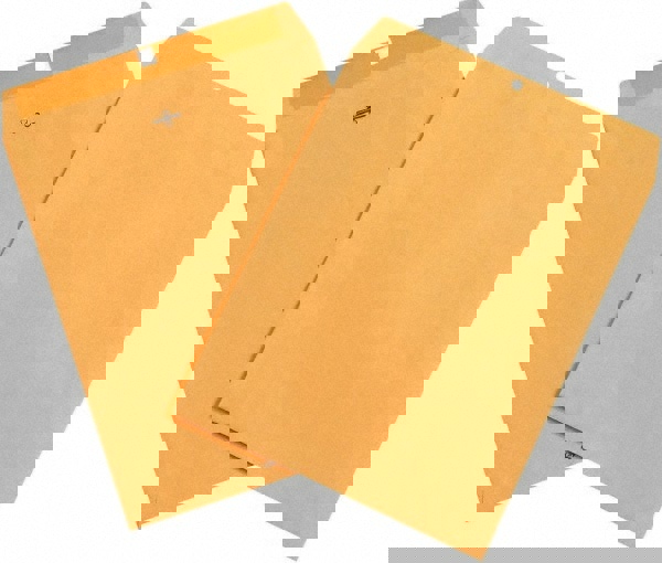 Clasp Mailing Envelope: 11-1/2