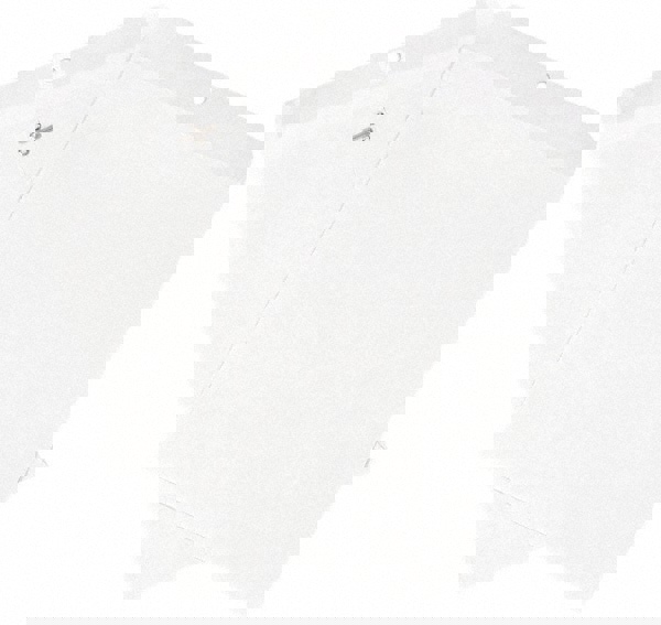 Clasp Mailing Envelope: 9