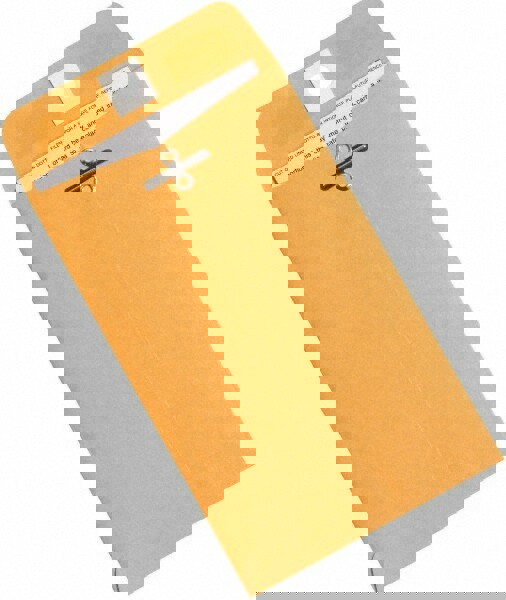Kraft Catalog Mailing Envelope: 4