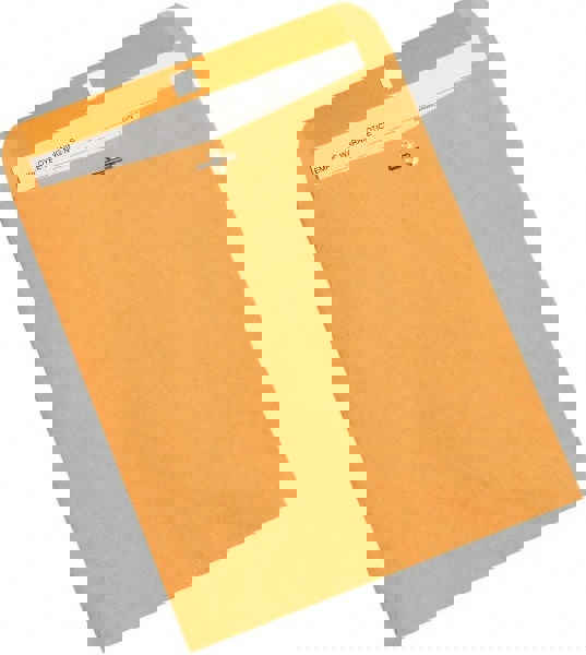 Brown Kraft Mailing Envelope: 10