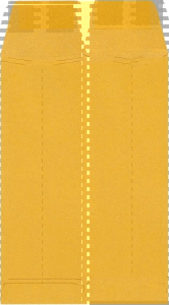 Brown Kraft Mailing Envelope: 6