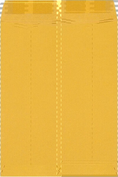 Brown Kraft Mailing Envelope: 9