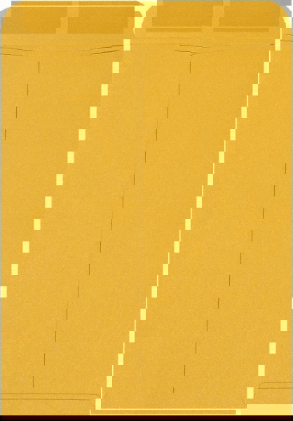 Brown Kraft Mailing Envelope: 12