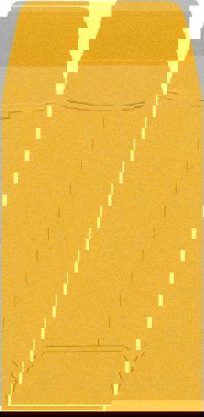 Brown Kraft Mailing Envelope: 2-1/4