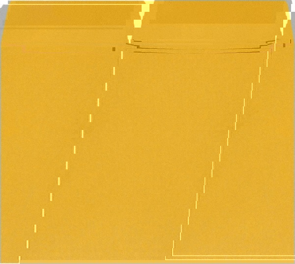 Kraft Catalog Mailing Envelope: 12