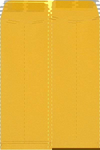 Brown Kraft Mailing Envelope: 9-1/2
