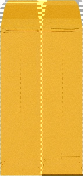 Brown Kraft Mailing Envelope: 3-3/8