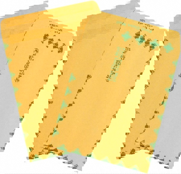 Natural Kraft Mailing Envelope: 10