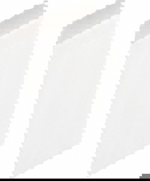 White Catalog Mailing Envelope: 9-1/2