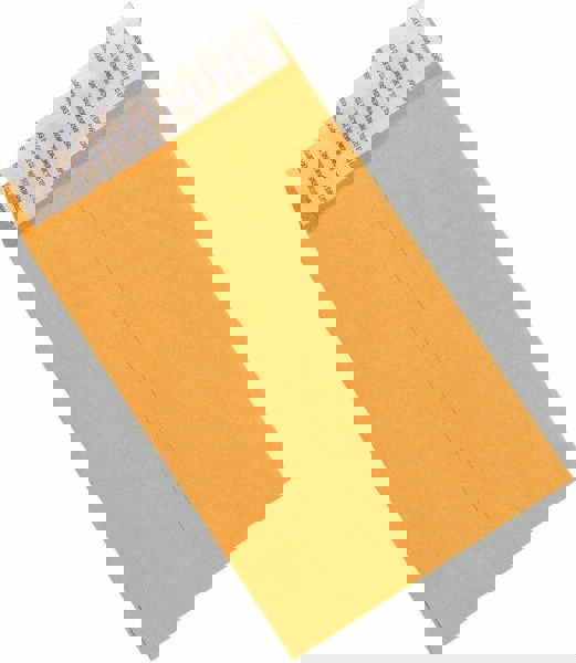 Natural Kraft Mailing Envelope: 6