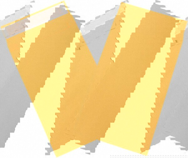 Natural Kraft Mailing Envelope: 10