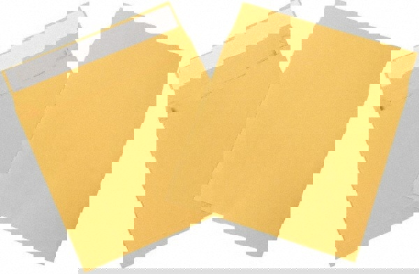 Natural Kraft Mailing Envelope: 10