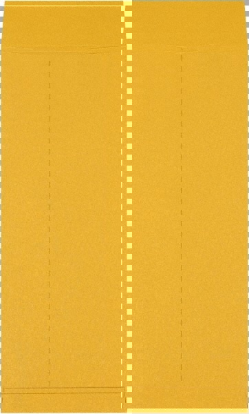 Jumbo Mailing Envelope: 12-1/2