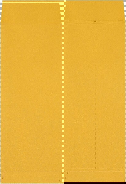 Jumbo Mailing Envelope: 14