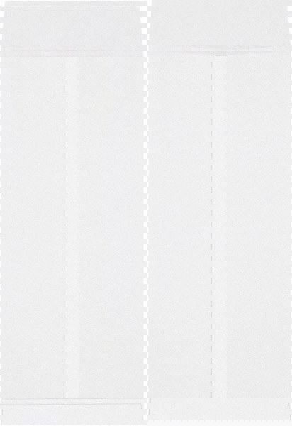 Jumbo Mailing Envelope: 14