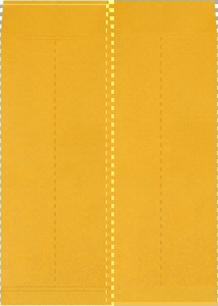 Jumbo Mailing Envelope: 16