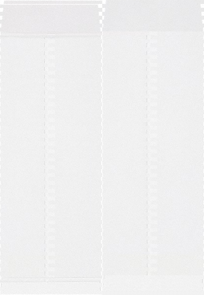 Jumbo Mailing Envelope: 17