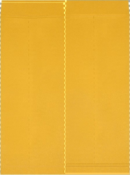 Jumbo Mailing Envelope: 22