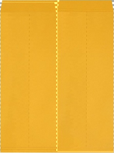 Jumbo Mailing Envelope: 24