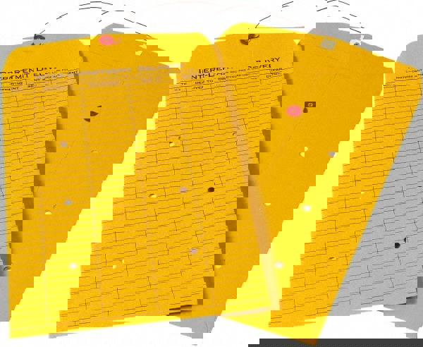 Inter-Department Mailing Envelope: 10