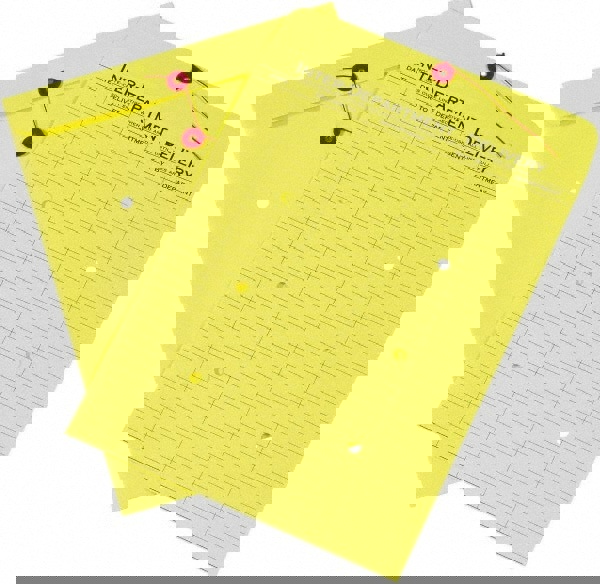 Inter-Department Mailing Envelope: 10